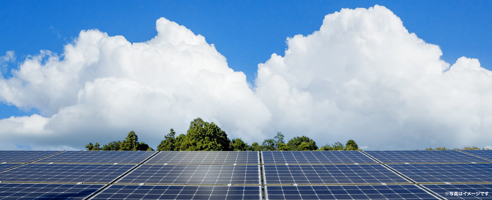 株式会社トラストホープマネージメント